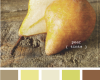 Design Seeds