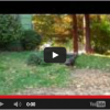 A Chance Encounter