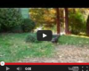 A Chance Encounter