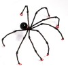 It's Only a Little Spider!