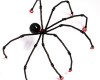It's Only a Little Spider!